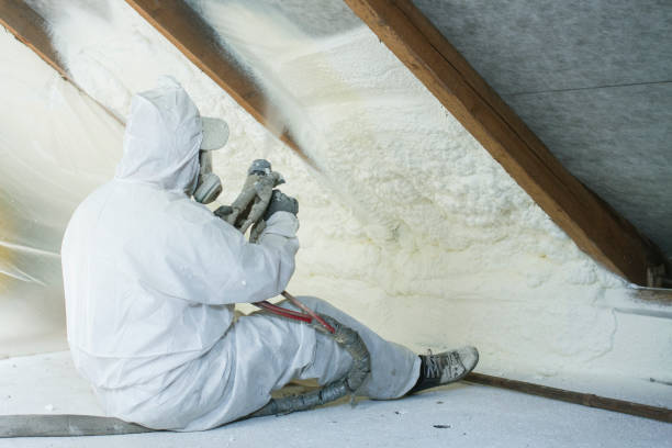 Best Pipe and Duct Insulation  in Robertsde, AL